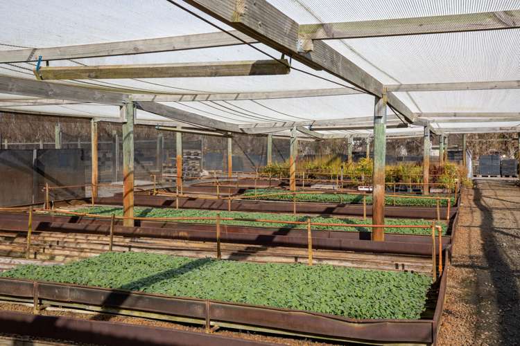 50 Barkers Road Kaiapoi_23