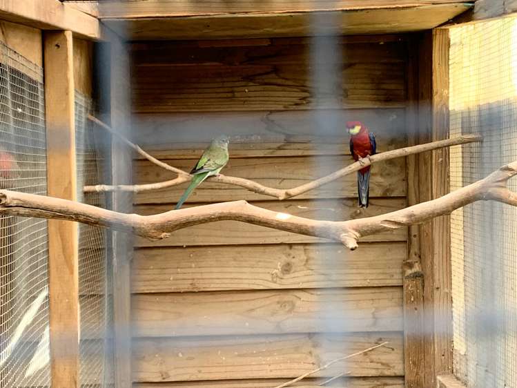 210 Coulter Road Te Awamutu_8