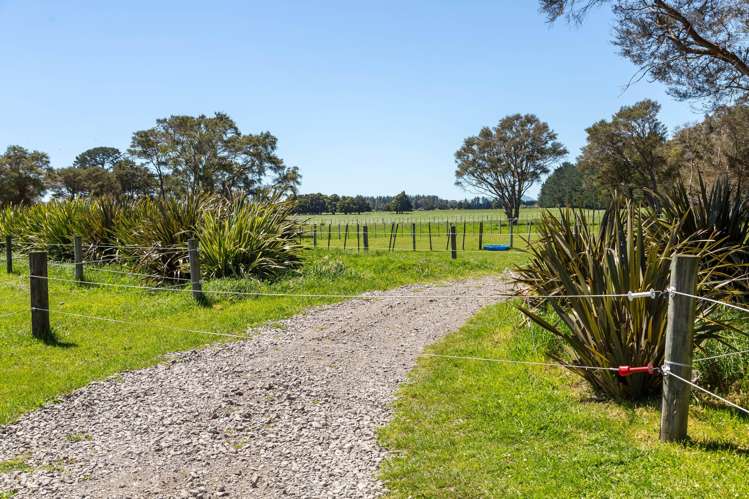 364 Wiltons Road West Taratahi_40