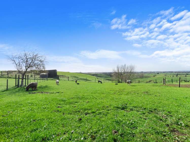 112 Grove Road Te Pahu_21
