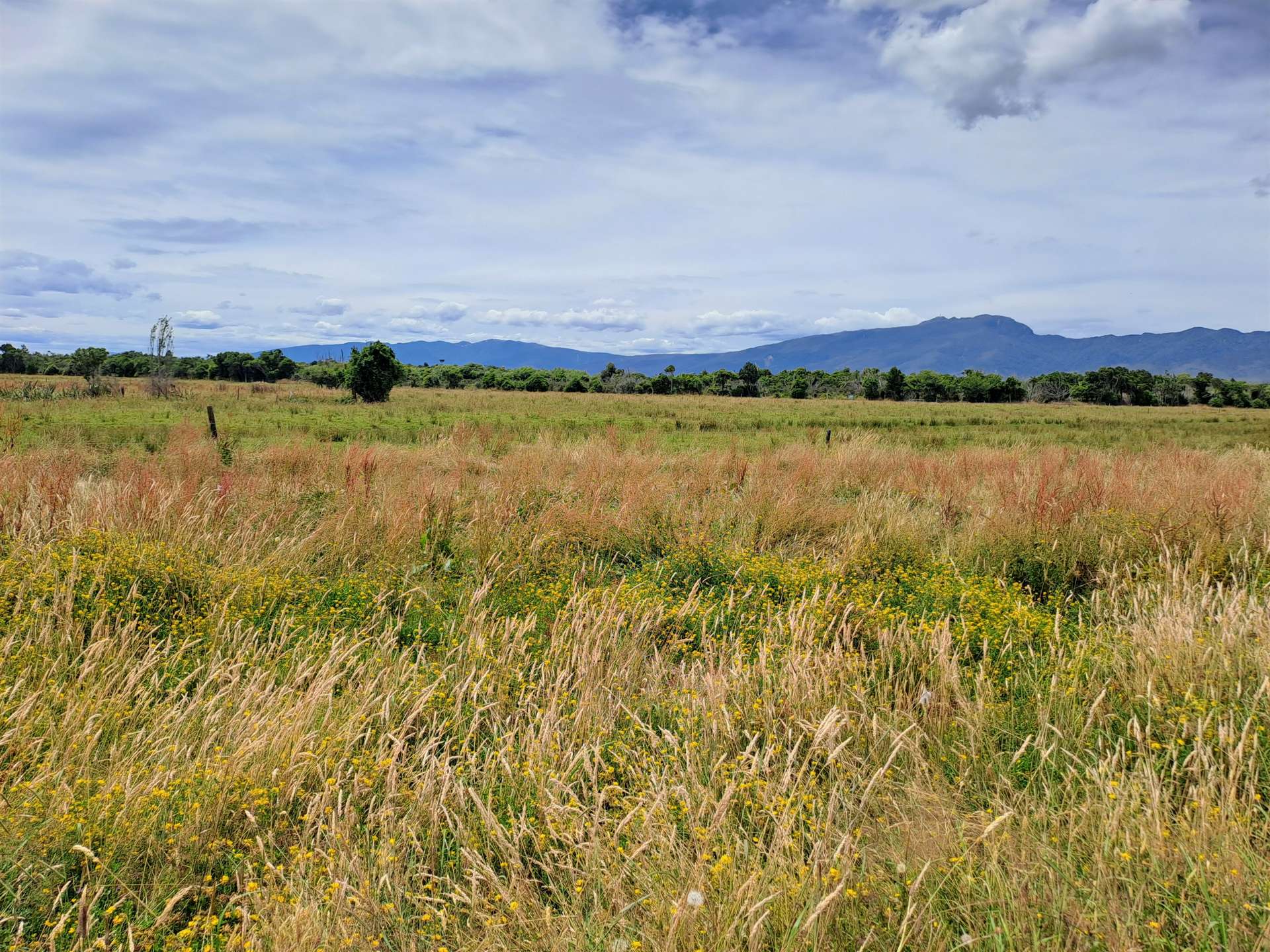 Cape Foulwind Road Buller Road Westport Buller Rural Property
