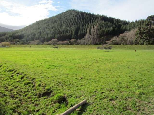 14 Wakefield Street Tuamarina_1