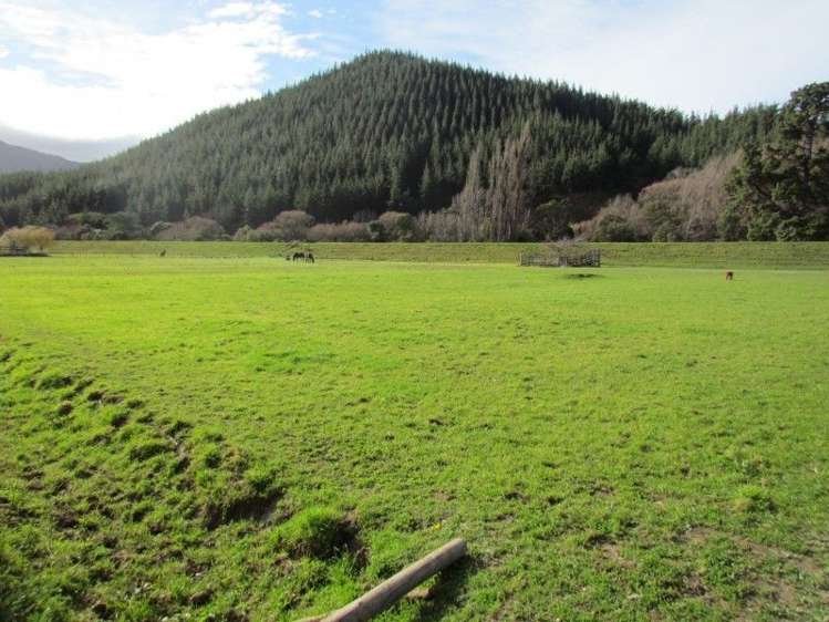 14 Wakefield Street Tuamarina_1