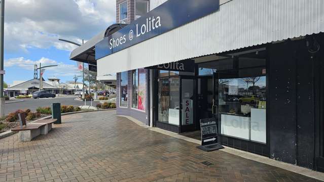 1/3 Middle Road Havelock North_2