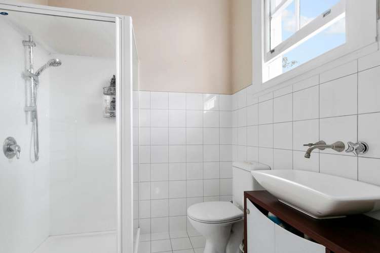 36 Halston Road Mount Eden_9