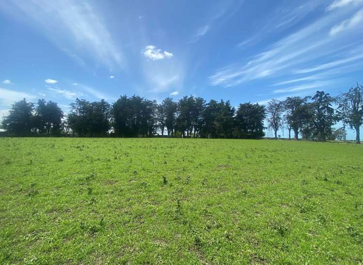 711 Brockley Road Rosewill_15