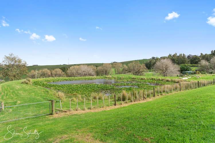 207 Doctors Hill Road Maungaturoto_48