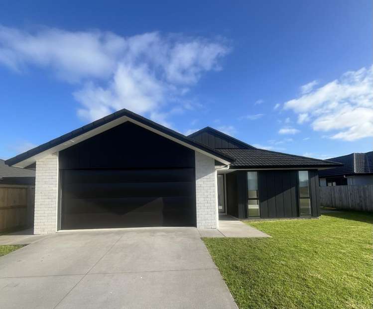 33 Palm Drive Whitianga_0