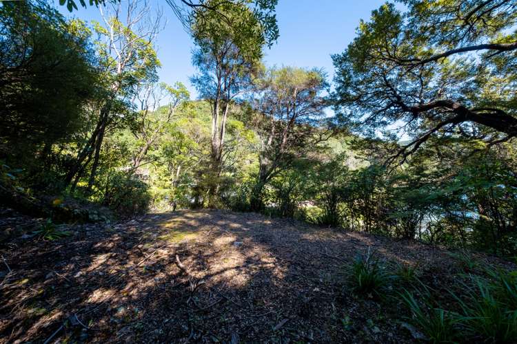 Port Underwood Road Port Underwood_14