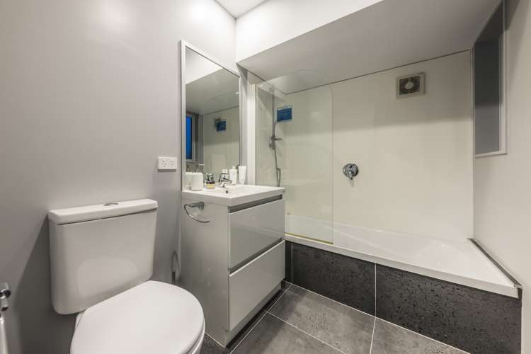 15 Tribute Loop Takanini_12