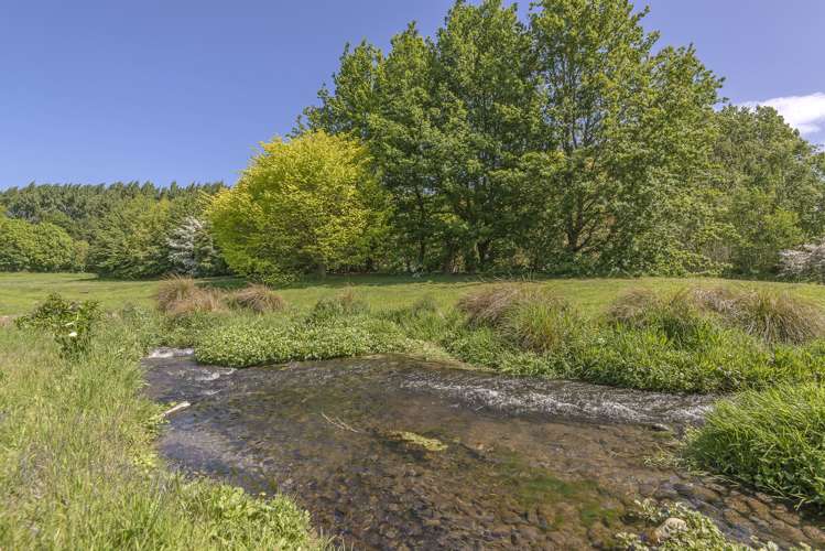 61 Mapleham Drive Pegasus_30