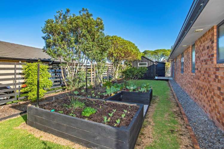 50 Ocean View Rise Ruakaka_17