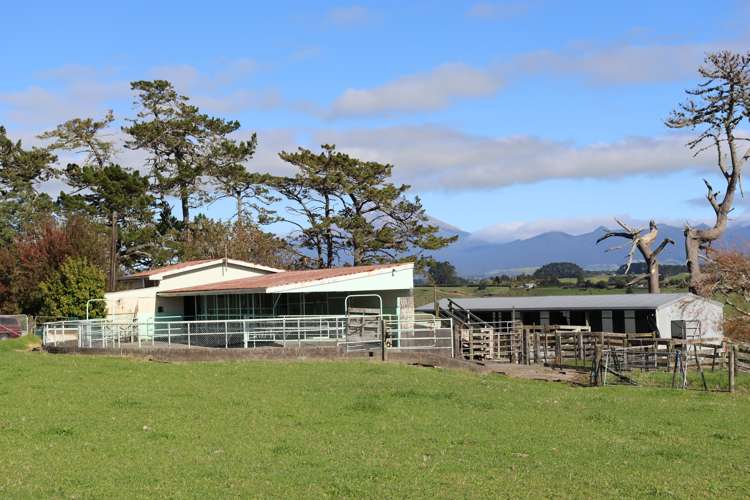 344 Hursthouse Road Inglewood_5