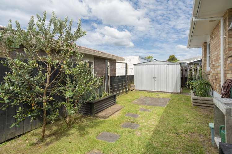 65 Chadwick Road Greerton_11