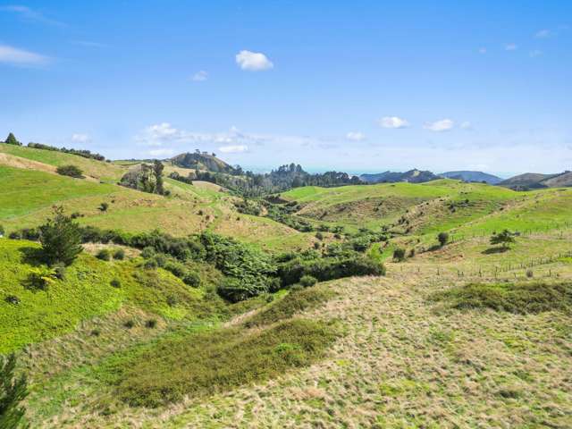 405F Rowe Road Ohauiti_2