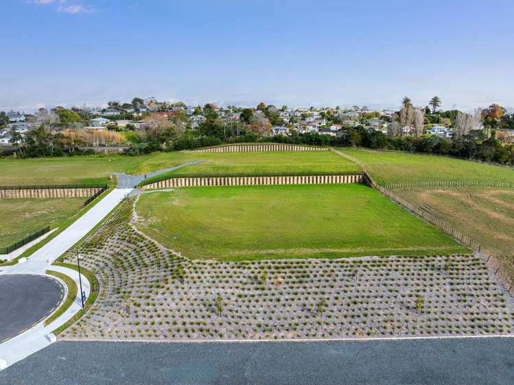 119 Centennial Park Road Wellsford_15