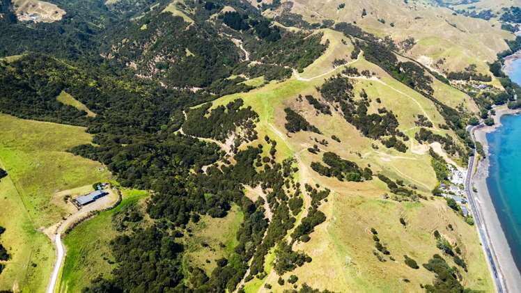 998 Thames Coast SH25 Road Thames_7