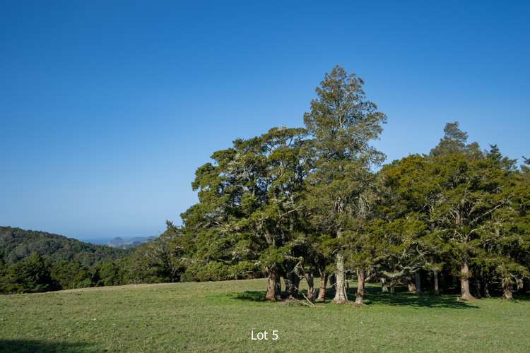 Lot 3-5 Freer Lane Parua Bay_7