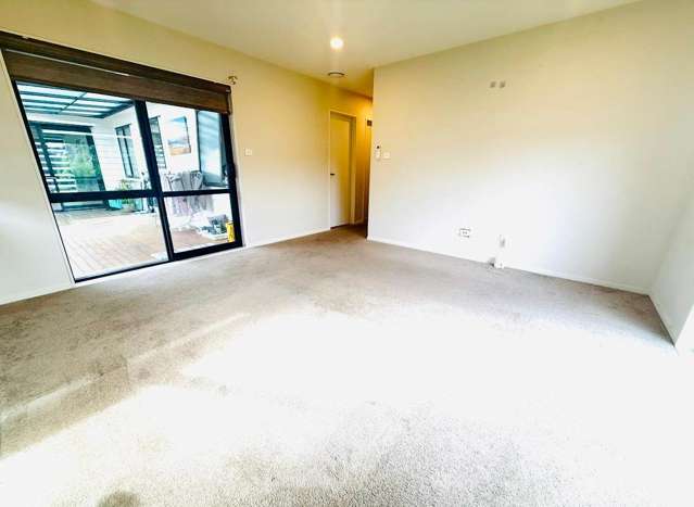 Silver Beech Street Takanini_2