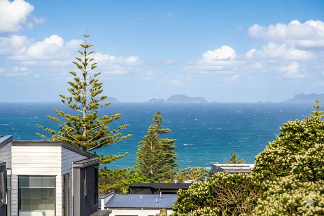37 Hastings Road Mairangi Bay_4