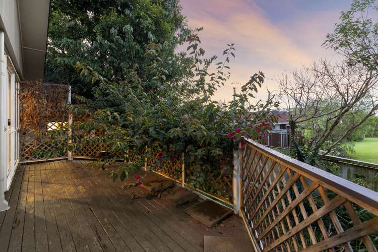 22c New Windsor Road Avondale_9