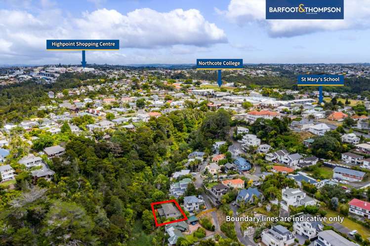 25a Bush View Lane Northcote Point_19