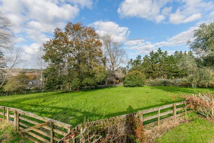 99 Postman Road Dairy Flat_8