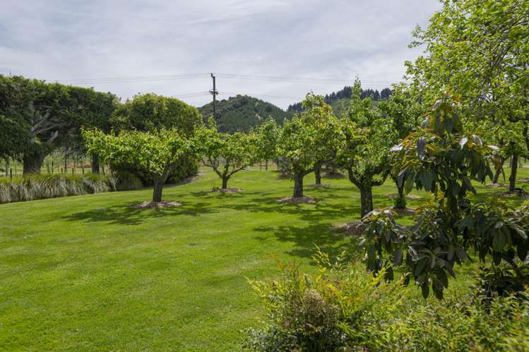 101 Pitcher Road Te Karaka_25