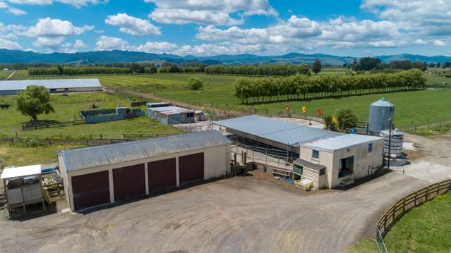 923 Hauraki Road Turua_4