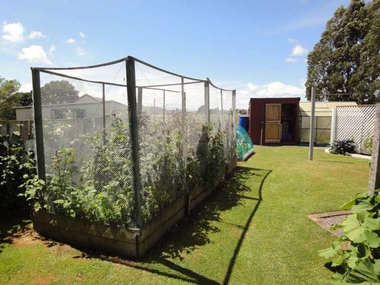 81454 State Highway 2 Pahiatua_20