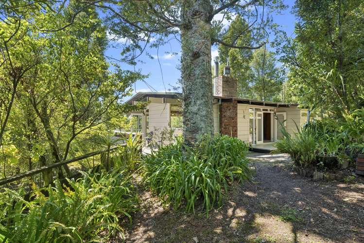 222 Atkinson Road Titirangi_21