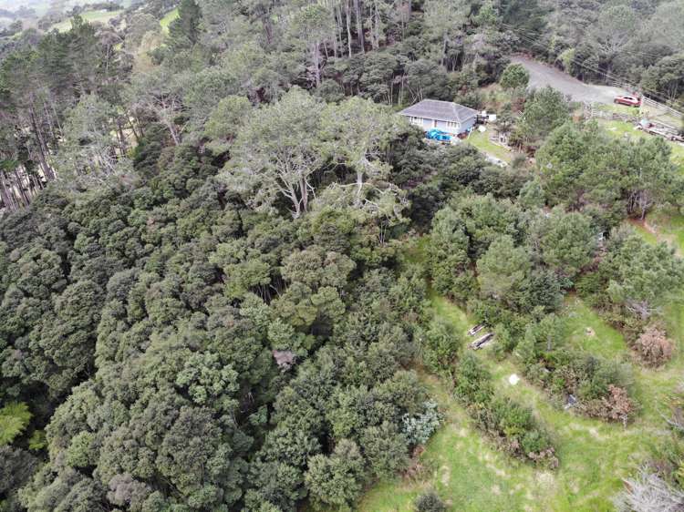 Sheffield Road Helensville_6