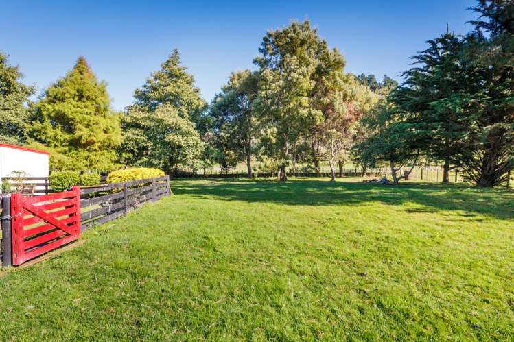 116 North Street Ashhurst_8