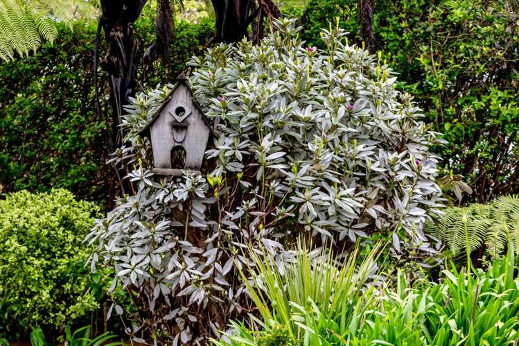 24 Kilgour Road Greymouth_28