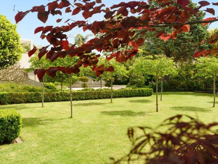 24 Roderick Street Otumoetai_13