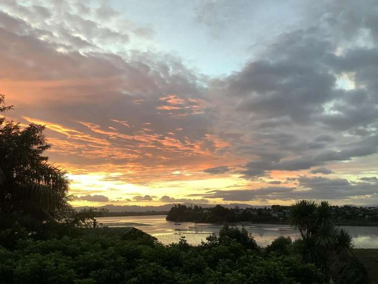 44 Margaret Road Bellevue_21