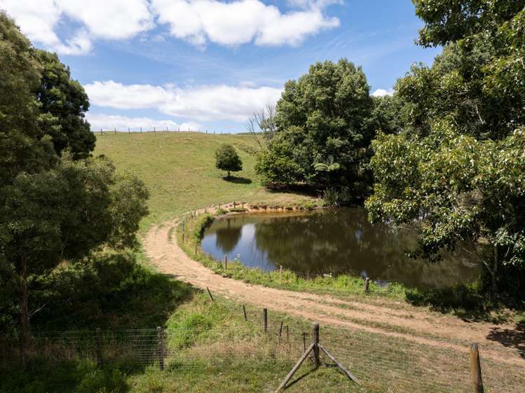 640 Brunskill Road Te Miro_9