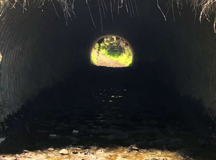 1564 State Highway 31 Kawhia Road Otorohanga_23