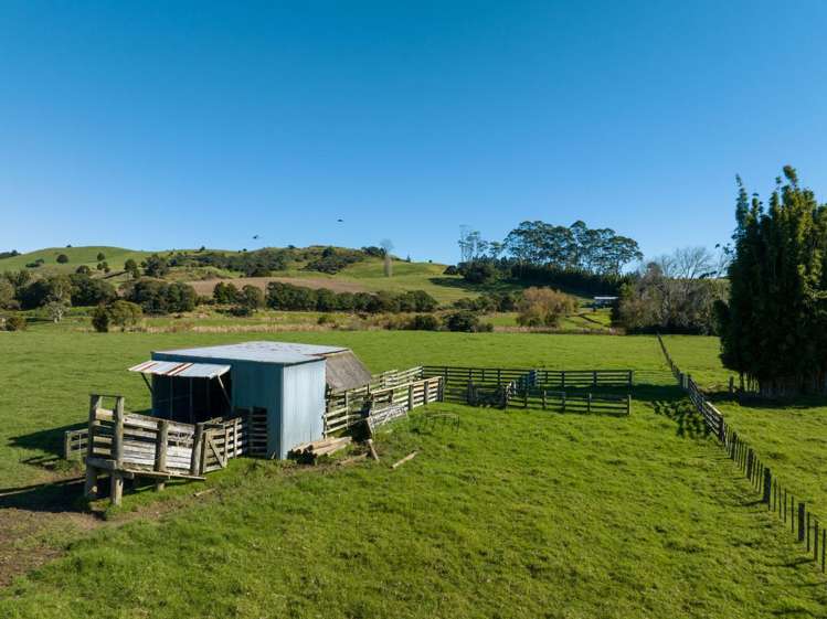 89 Marshall Road_4
