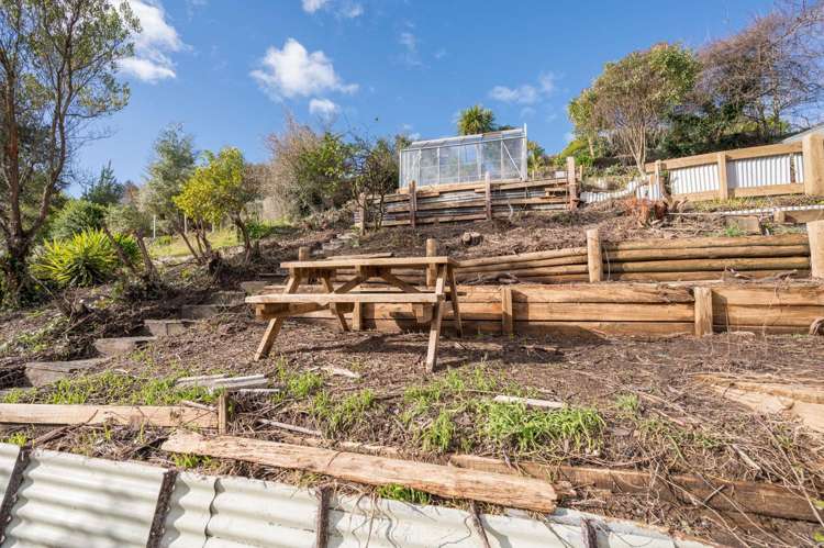 43 Murphy Street Toi Toi_14