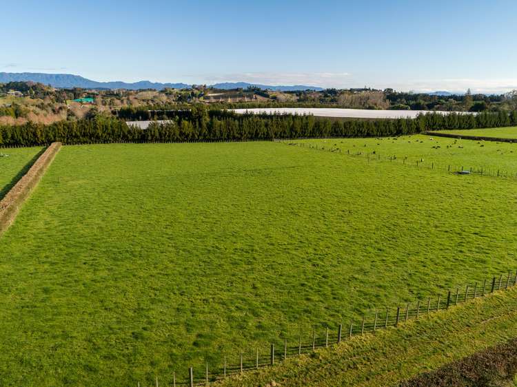28 Armstrong Road Te Puna_15