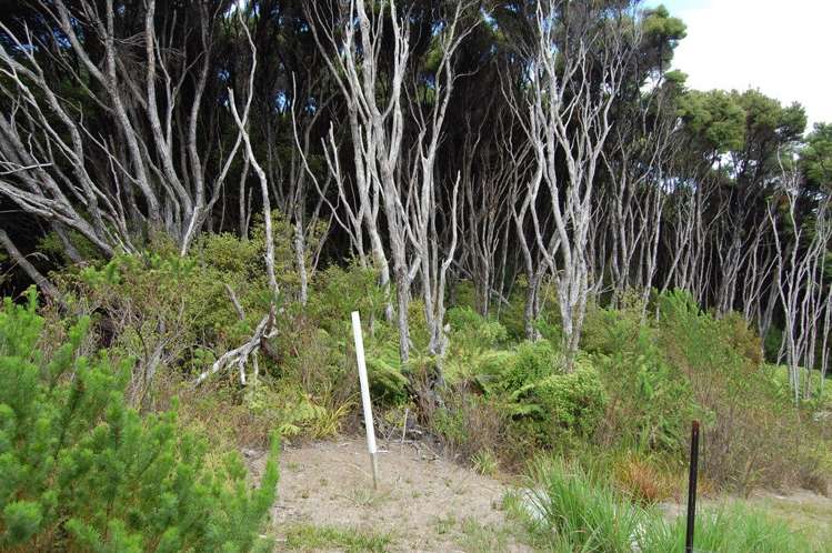 396h Shoal Bay Road Great Barrier Island (Aotea Island)_7