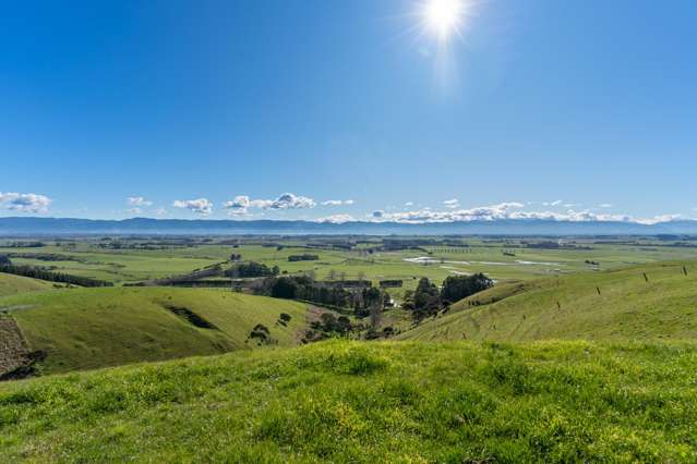 Lake Ferry Road Martinborough_1