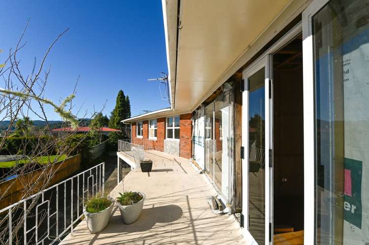 170 Otonga Road Springfield_5