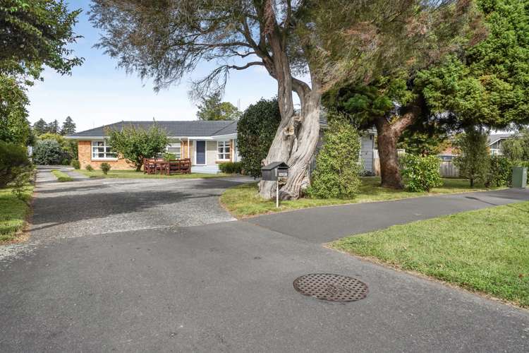 1 Patricia Avenue Hamilton East_26