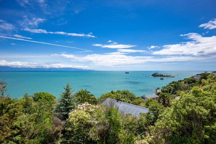 99 Moana Avenue Moana_4