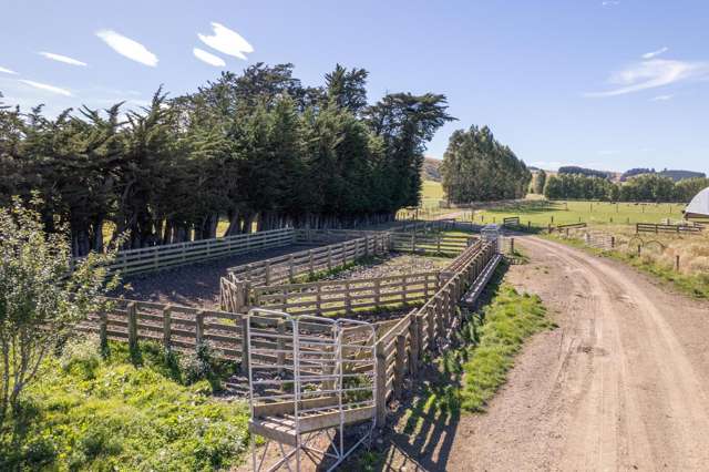 902 Avondale Road Taringatura_4