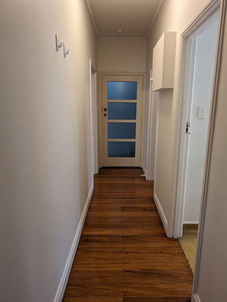 17b Whitaker Place Grafton_13