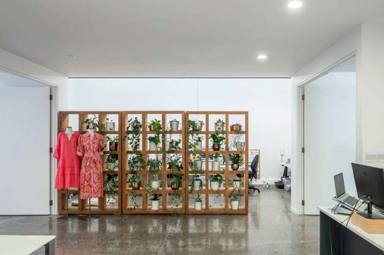 35 Virginia Avenue Eden Terrace_8
