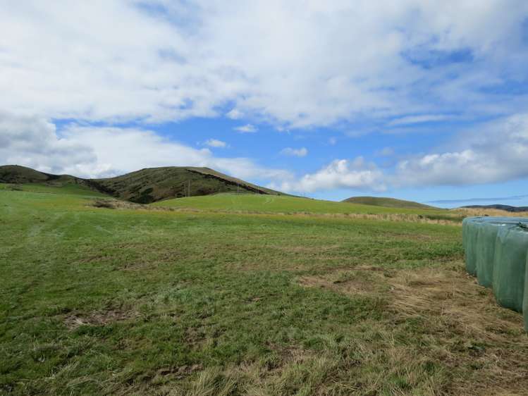 15 Bell Road Taumarunui_3